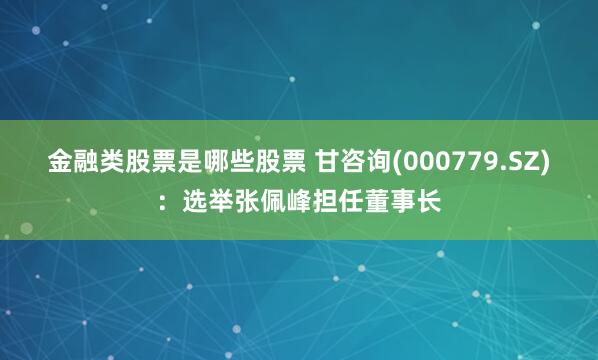 金融类股票是哪些股票 甘咨询(000779.SZ)：选举张佩峰担任董事长