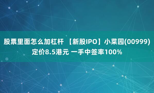 股票里面怎么加杠杆 【新股IPO】小菜园(00999)定价8.5港元 一手中签率100%