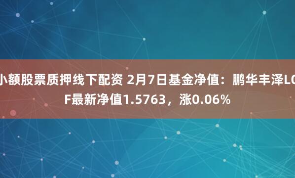 小额股票质押线下配资 2月7日基金净值：鹏华丰泽LOF最新净值1.5763，涨0.06%