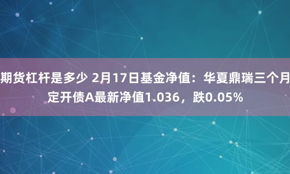 期货杠杆是多少 2月17日基金净值：华夏鼎瑞三个月定开债A最新净值1.036，跌0.05%