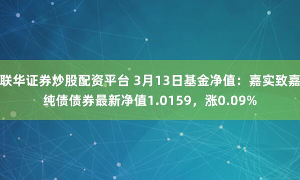 联华证券炒股配资平台 3月13日基金净值：嘉实致嘉纯债债券最新净值1.0159，涨0.09%